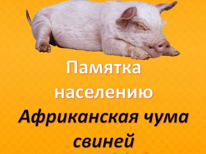 Памятка для населения.